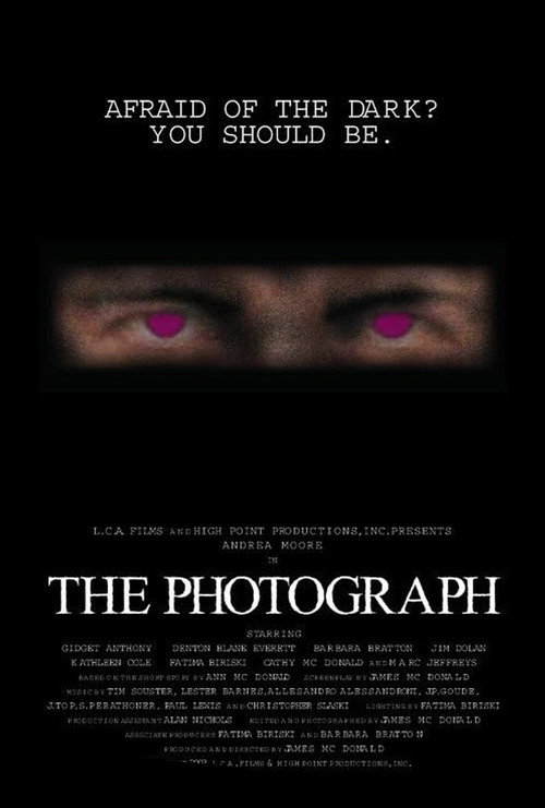 Movie poster for The Photograph (2003)