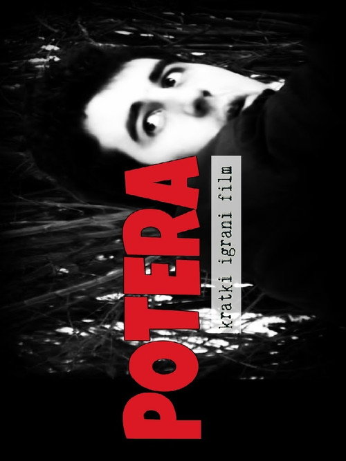 Movie poster for The Pursuit (2006)
