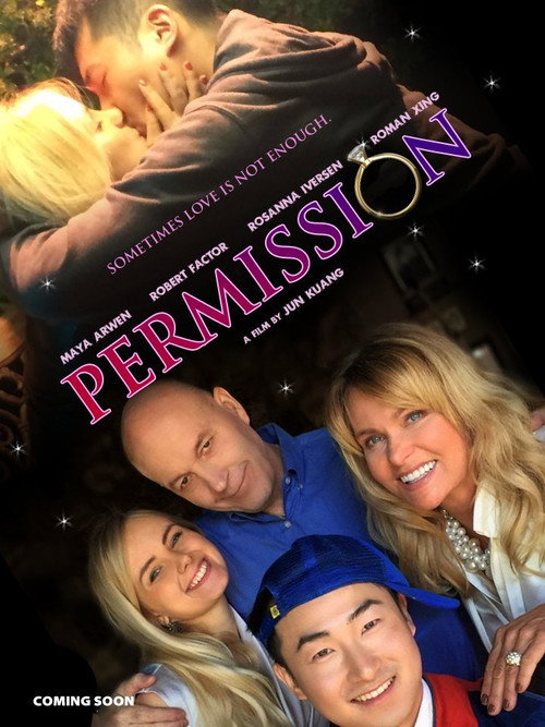 Movie poster for Permission (2015)