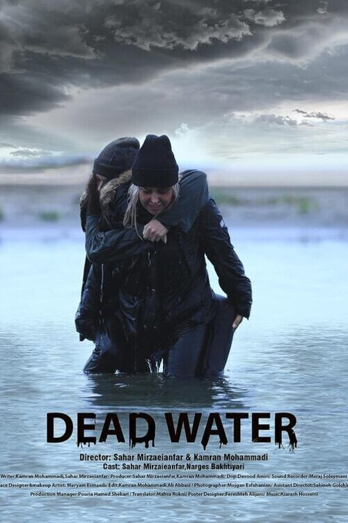 Movie poster for Dead Water (2023)