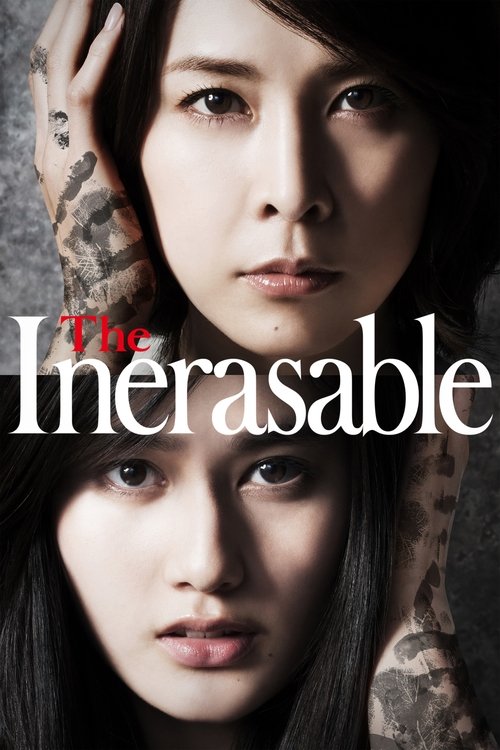 Movie poster for The Inerasable (2016)