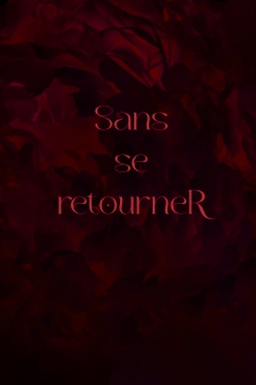 Movie poster for Sans se retourneR