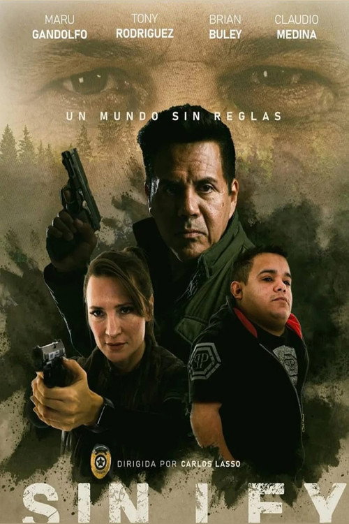 Movie poster for Without Law (2025)