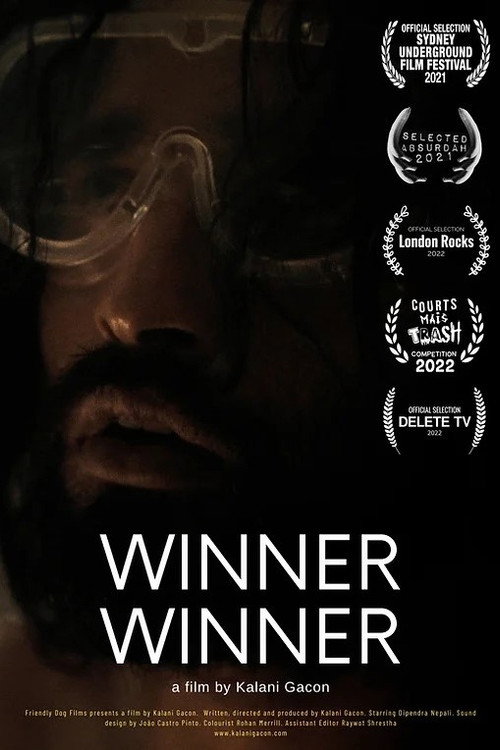 Movie poster for Winner Winner