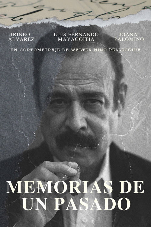 Movie poster for Memories of a Past (2022)