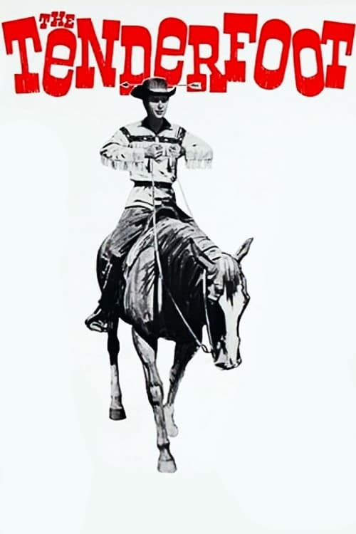 Series poster for The Tenderfoot (1964)