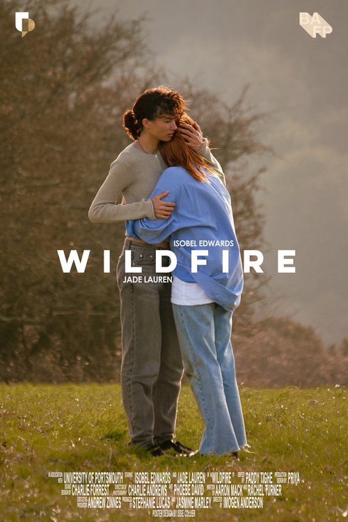 Movie poster for Wildfire