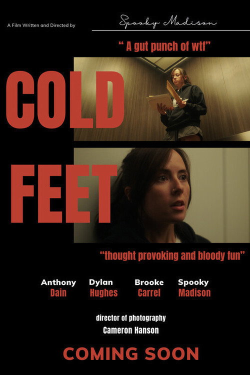 Movie poster for Cold Feet (2024)