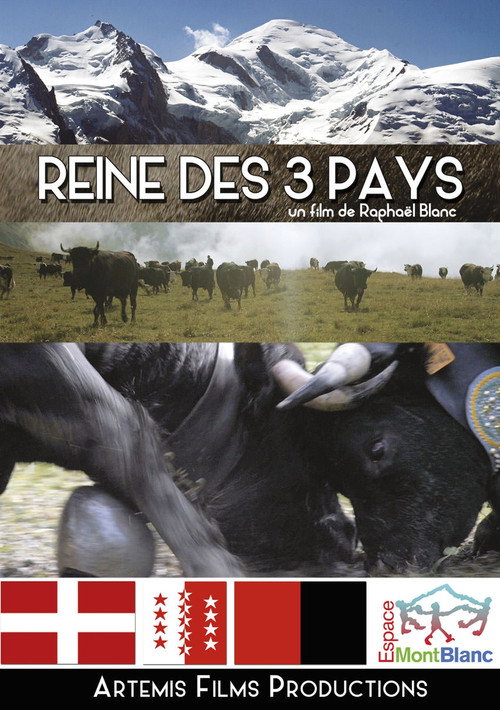 Movie poster for Reine des 3 pays
