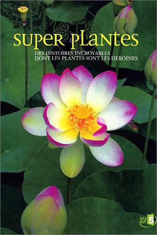 Series poster for Super plantes (2003)