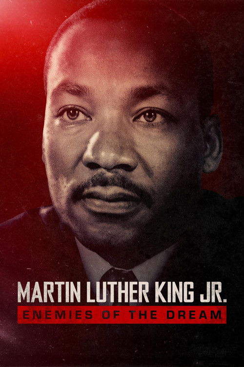 Martin Luther King Jr.: Enemies of the Dream poster