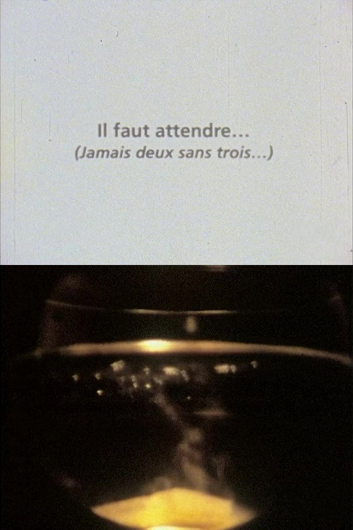 Movie poster for Il faut attendre (jamais deux sans trois) (1990)