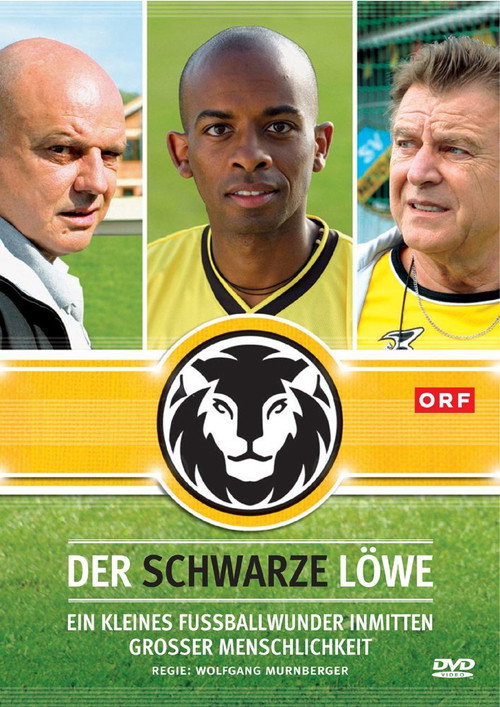 Movie poster for Der schwarze Löwe (2008)