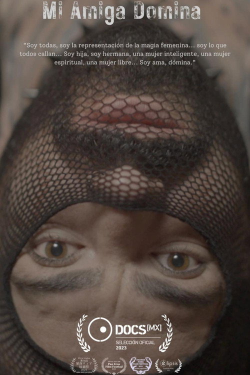 Movie poster for Mi amiga Domina