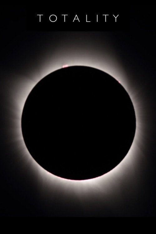 Movie poster for TOTALITY (2017)