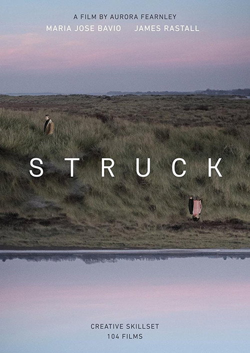 Movie poster for Struck (2017)