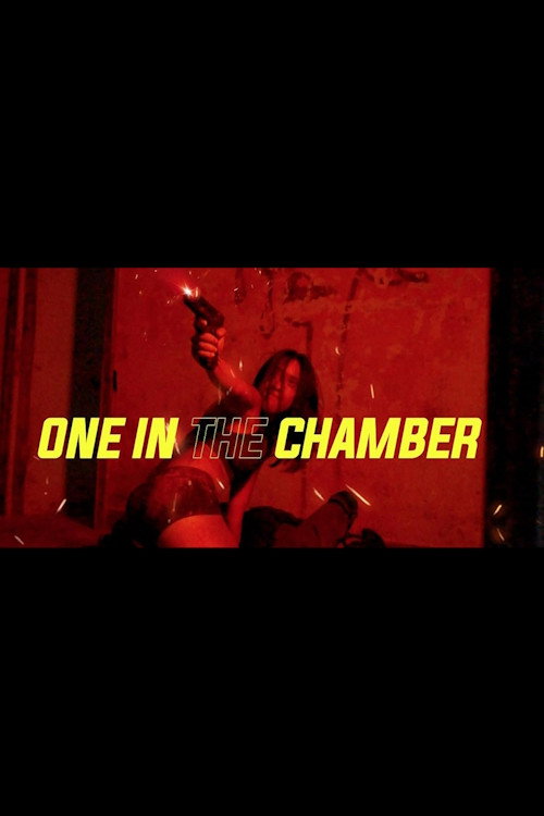 Movie poster for One in the Chamber (2022)