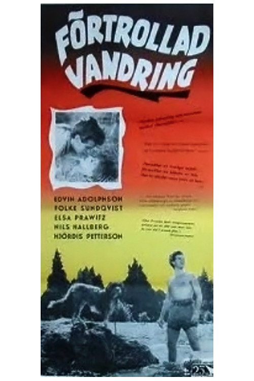 Movie poster for Enchanted Journey (1954)