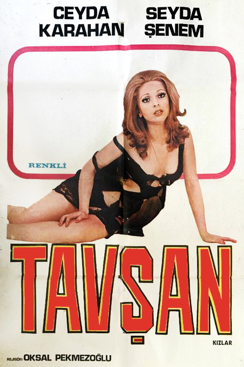 Movie poster for Rabbit Girls (1976)