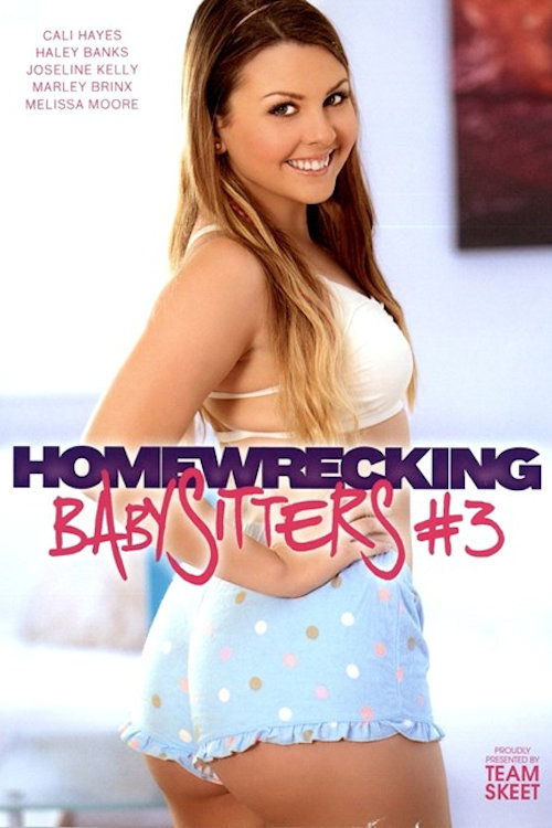 Movie poster for Homewrecking Babysitters 3 (2016)
