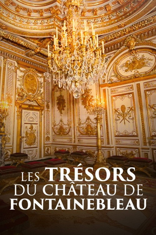 Movie poster for Les trésors du château de Fontainebleau (2024)