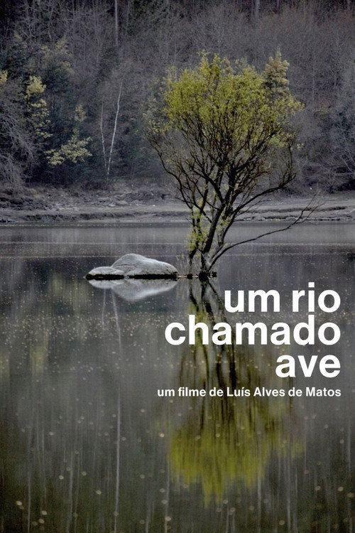 Movie poster for Um Rio Chamado Ave (2012)
