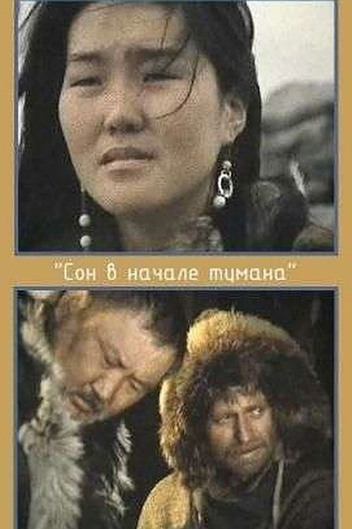Movie poster for A Dream in Polar Fog (1994)