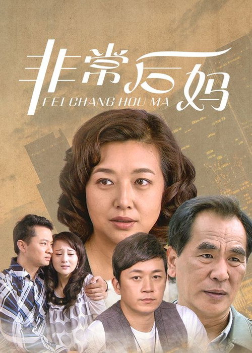 非常后妈 poster