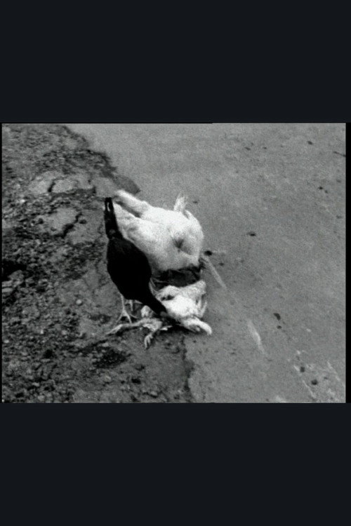 Movie poster for The Delmarva Chicken of Tomorrow (2002)