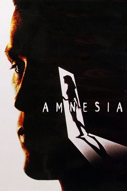 Movie poster for Amnesia (1997)