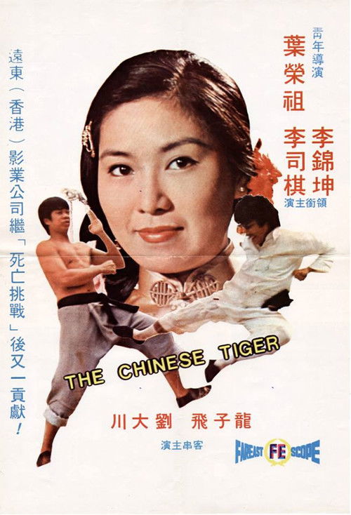 Movie poster for The Chinese Tiger (1974)