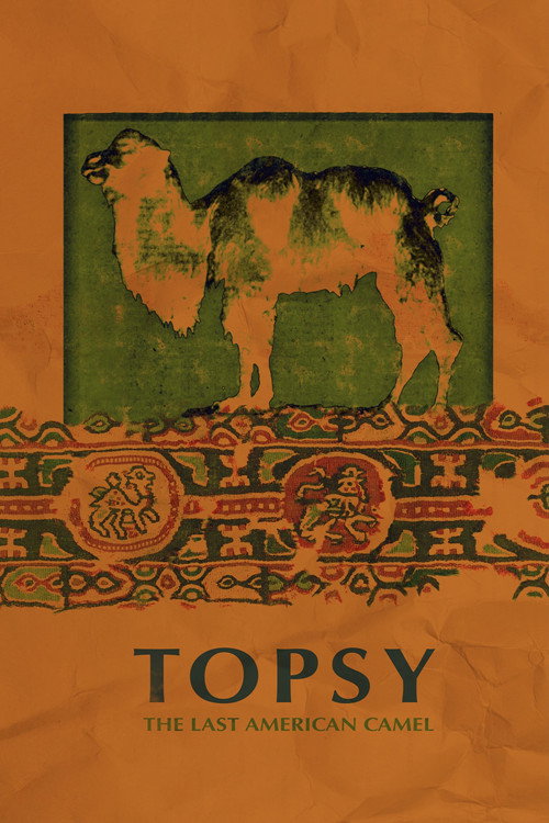 Movie poster for Topsy: The Last American Camel (2024)