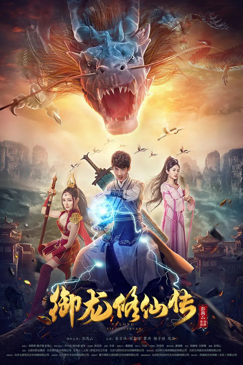 Movie poster for Dragon Sword (2018)