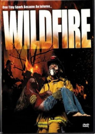 Movie poster for Wild Fire (2003)