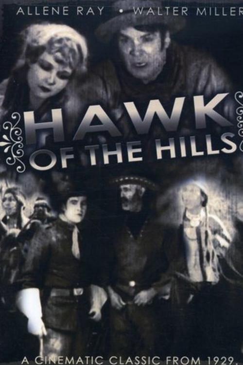 Movie poster for Hawk of the Hills (1929)