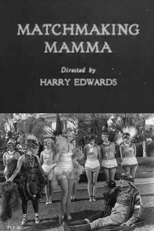 Movie poster for Matchmaking Mamma (1929)
