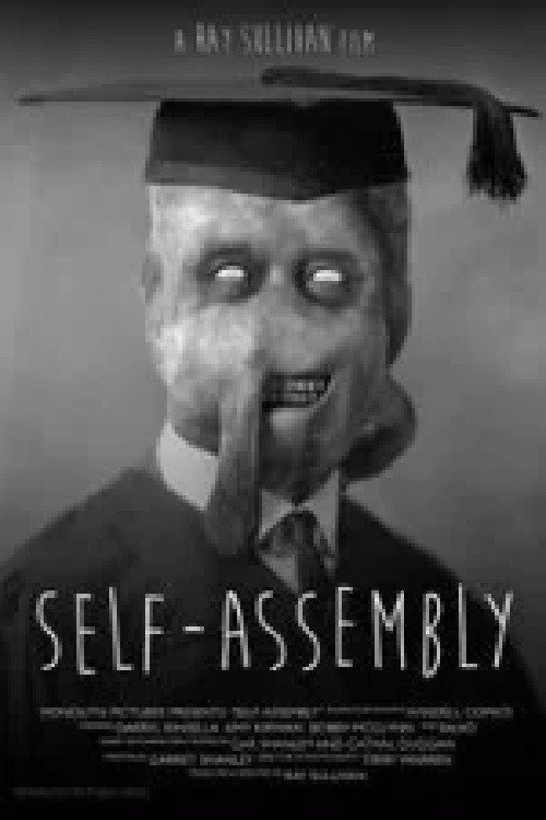 Movie poster for Self-Assembly (2014)