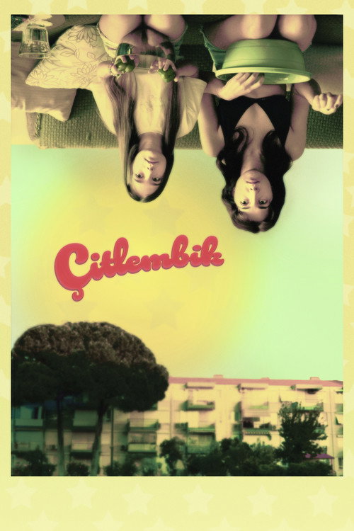 Movie poster for Çitlembik