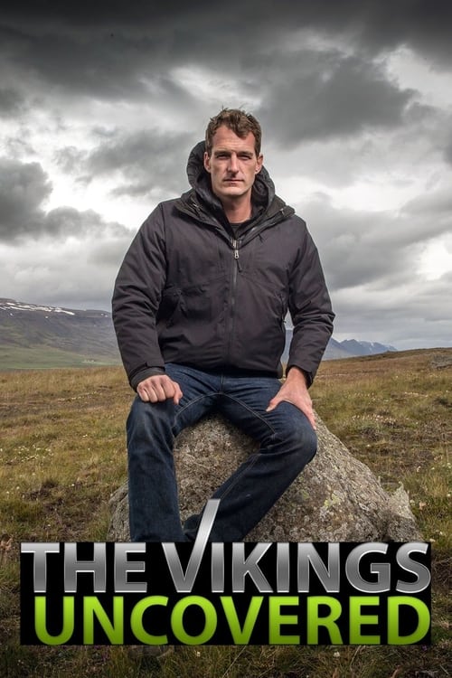 Movie poster for The Vikings Uncovered (2016)