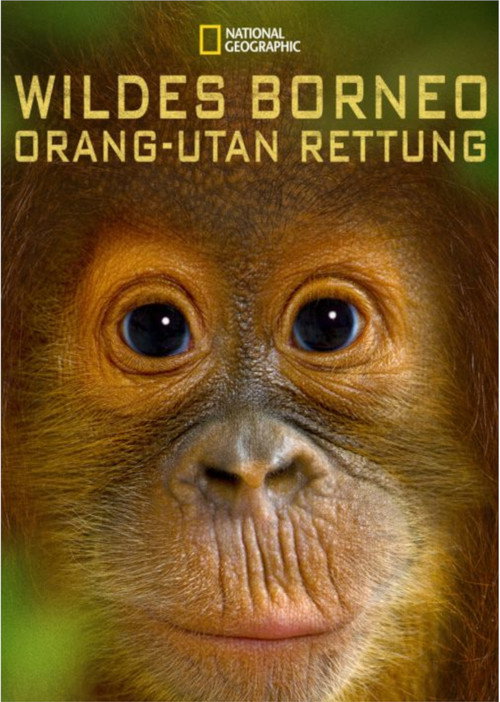 Movie poster for Orangutan Rescue - Back to The Wild (2014)
