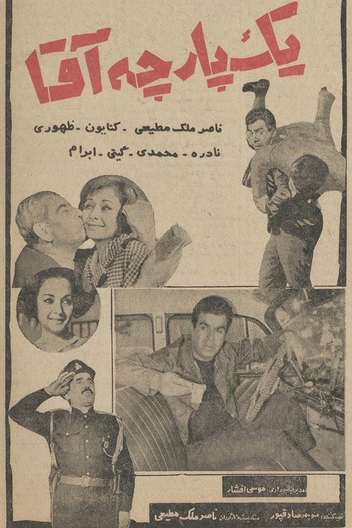 Movie poster for A Perfect Gentleman (1965)