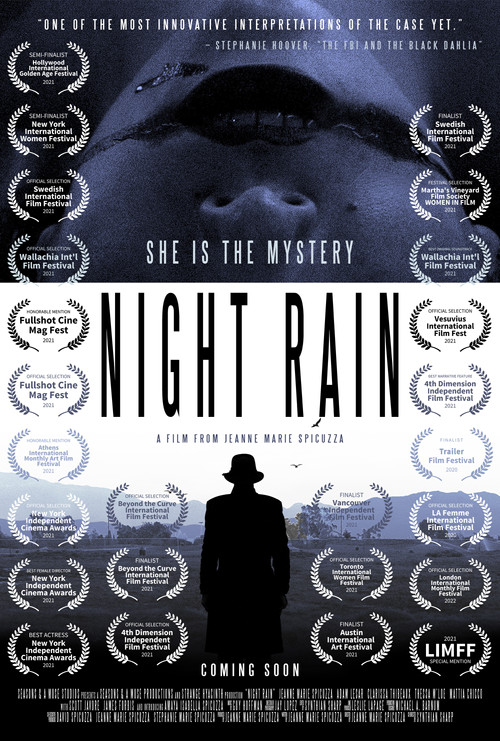 Movie poster for Night Rain