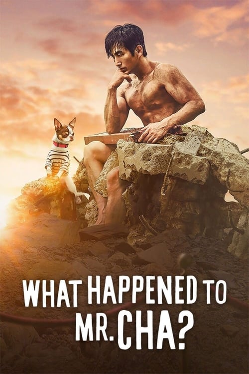 Movie poster for What Happened to Mr. Cha? (2021)