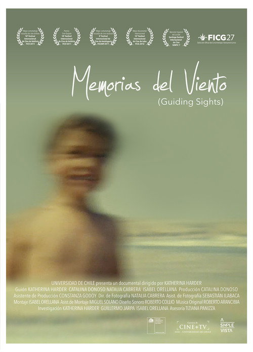 Movie poster for Guiding Sights (2011)