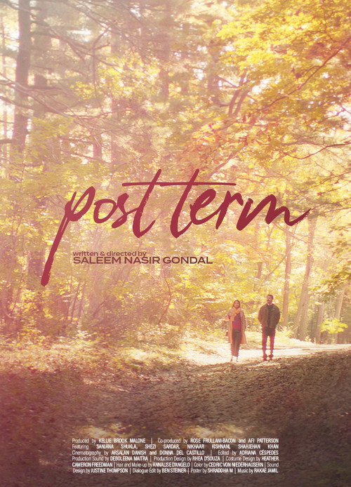 Movie poster for Post Term (2023)
