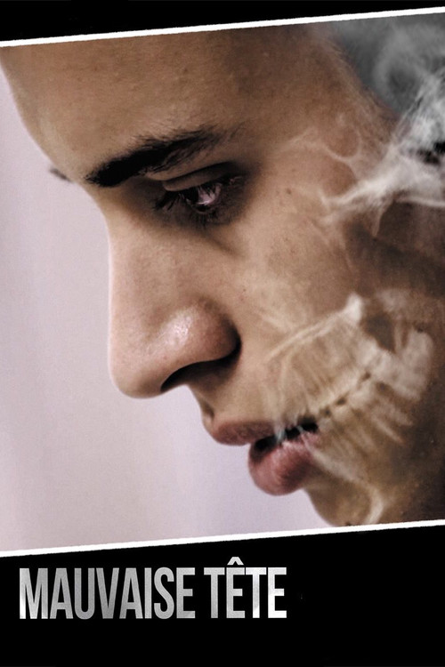 Movie poster for Heady Stuff (2014)