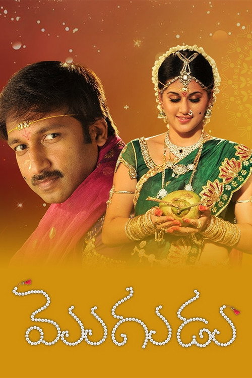 Movie poster for Mogudu (2011)