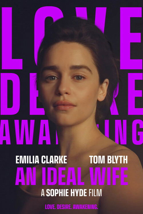 Movie poster for An Ideal Wife