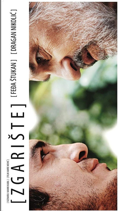 Movie poster for The Ruin (2009)