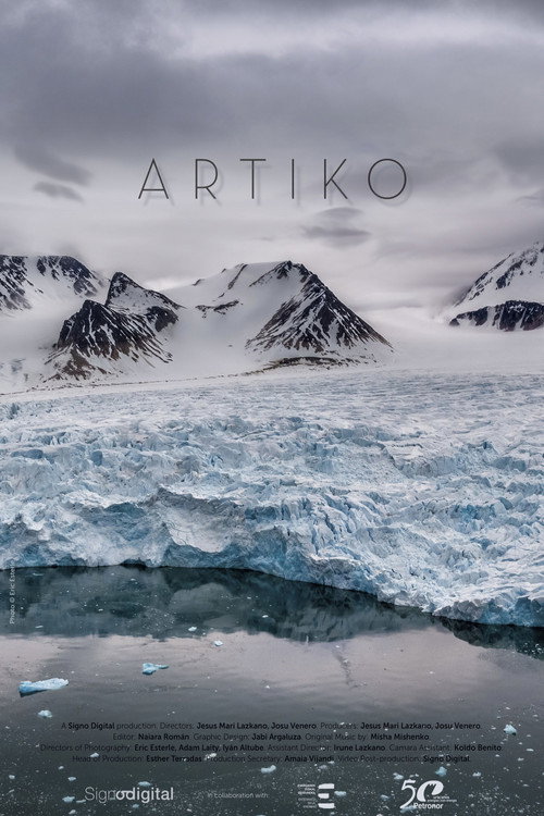 Movie poster for Arctic (2019)